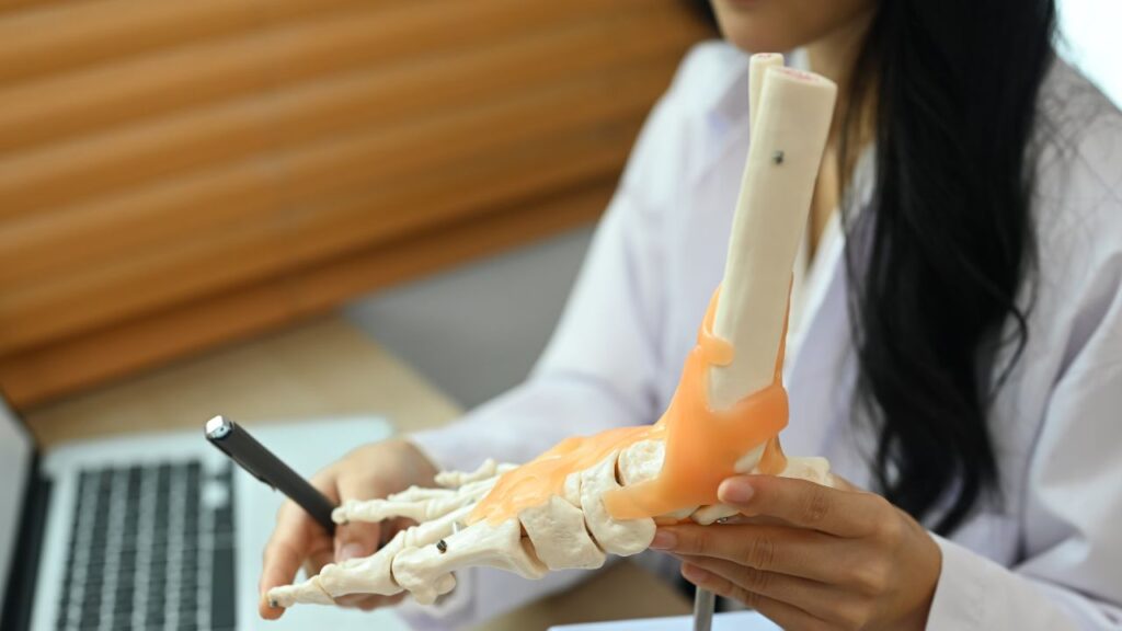 A breakthrough in support for tendons ligaments and cartilage