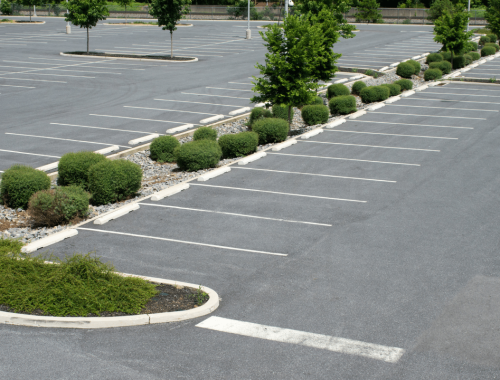 An empty parking lot with freshly paved spaces, landscaped with small green bushes and trees in the medians, showcases quality work from a professional construction company on a clear day.