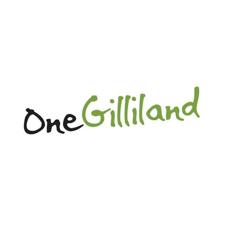 OneGilliland logo in handwriting style text.