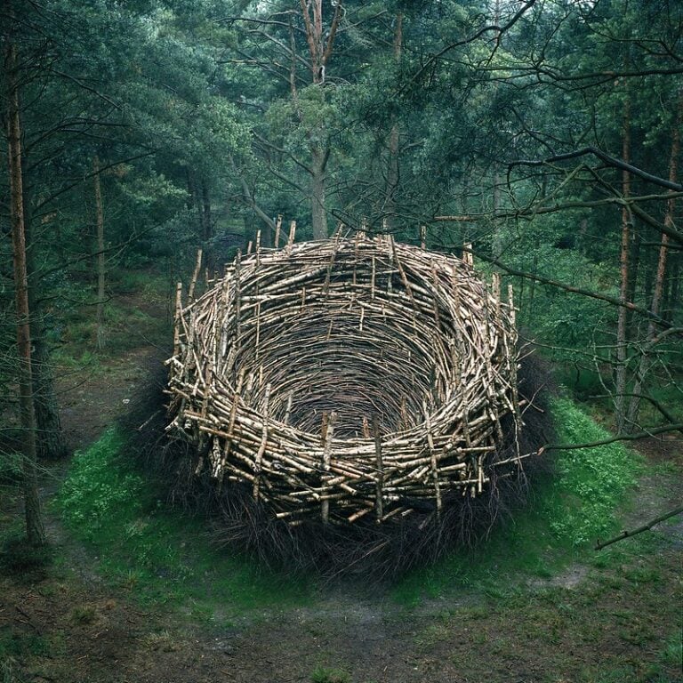 Environmental Art on the My Modern Met