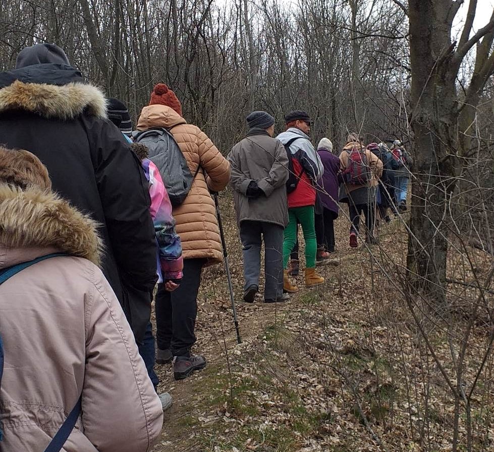 A fizikai aktivitás szerepe egészségünk megőrzésében