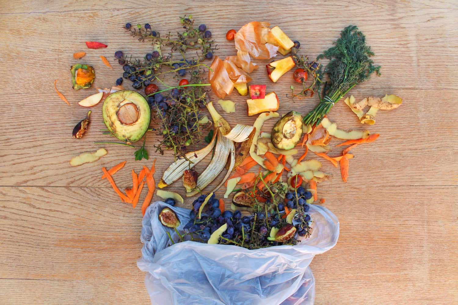 Fruit and vegetable scraps spill out of a blue plastic garbage bag across a wooden floor.
