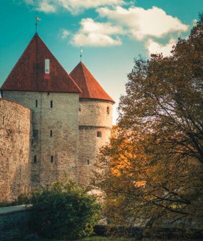 pexels hert 3224113 scaled