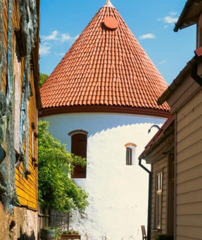 pexels oscar m 344441239 17665144 scaled