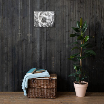 Una planta de caucho en maceta se encuentra sobre un piso de madera contra una pared de madera oscura. A la izquierda, una canasta de mimbre con mantas dobladas y libros se encuentra debajo de "Lienzo roca y sal", una pintura abstracta con tonos monocromáticos, que recuerda al estilo Arte Decorativo de Volcanica Productions.