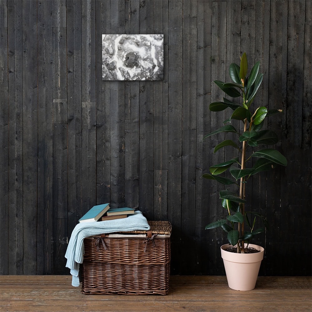 Una planta de caucho en maceta se encuentra sobre un piso de madera contra una pared de madera oscura. A la izquierda, una canasta de mimbre con mantas dobladas y libros se encuentra debajo de "Lienzo roca y sal", una pintura abstracta con tonos monocromáticos, que recuerda al estilo Arte Decorativo de Volcanica Productions.