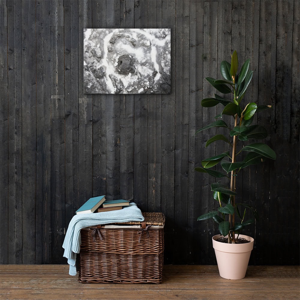 Una planta de caucho en maceta se encuentra sobre un piso de madera junto a una canasta de mimbre llena de libros y una manta doblada. El "Lienzo roca y sal", una exquisita pieza de arte decorativo, cuelga en la pared de madera oscura detrás de ellos.