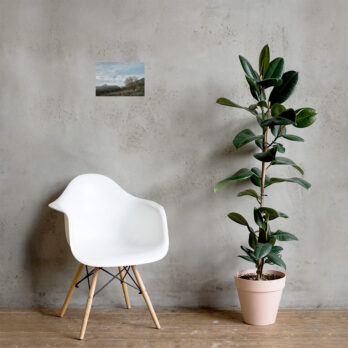 Junto a una moderna silla blanca, contra una pared de hormigón gris, hay una planta de caucho en maceta, con el cartel "Camino Virgen del Pino" enmarcado y colgado encima. La habitación tiene una estética minimalista con suelo de madera.