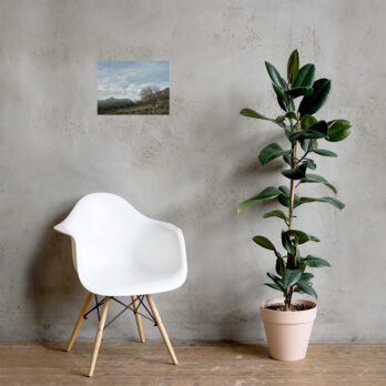 Una silla moderna de color blanco reposa sobre una pared neutra adornada con un pequeño volumen del Póster Camino Virgen del Pino. Junto a ella, una alta planta de caucho en maceta adorna el suelo de madera, fusionando elegancia y naturaleza en un diseño armonioso.
