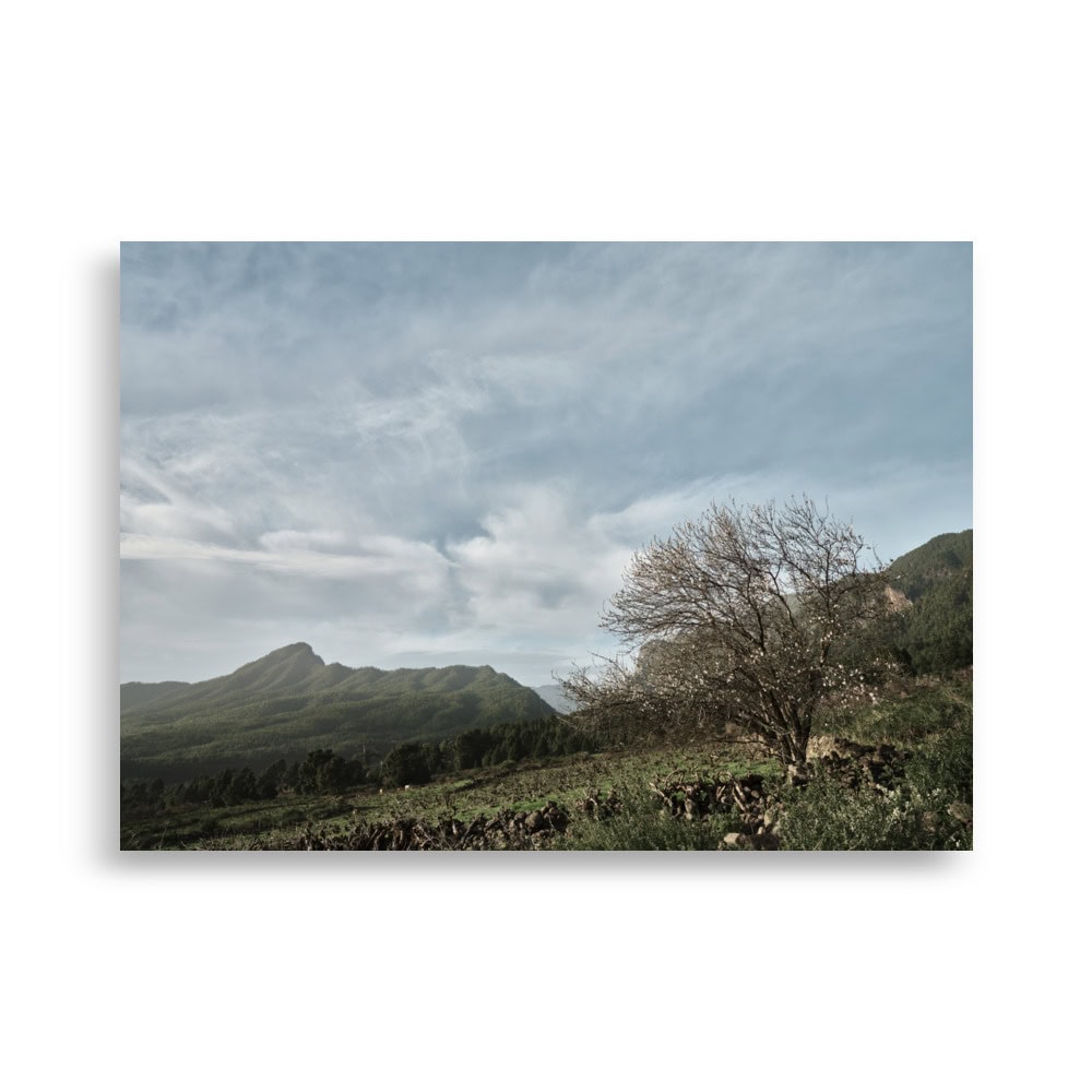 Un paisaje escénico que presenta un árbol con ramas desnudas en primer plano, un campo verde exuberante y una cadena montañosa bajo un cielo azul con nubes tenues. Esta escena captura la esencia de Arte Decorativo y es perfecta para la fotografía impresa en el "Póster Camino Virgen del Pino" de Volcanica Productions.