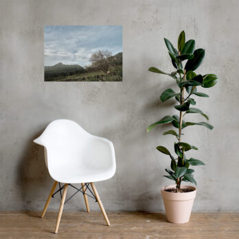 Una silla moderna de color blanco reposa sobre un suelo de madera junto a una maceta alta con grandes hojas verdes. Arriba, una fotografía de paisaje titulada "Póster Camino Virgen del Pino" de Volcanica Productions está colgada en la pared de hormigón, capturando las colinas y el cielo nublado que recuerdan a La Palma.