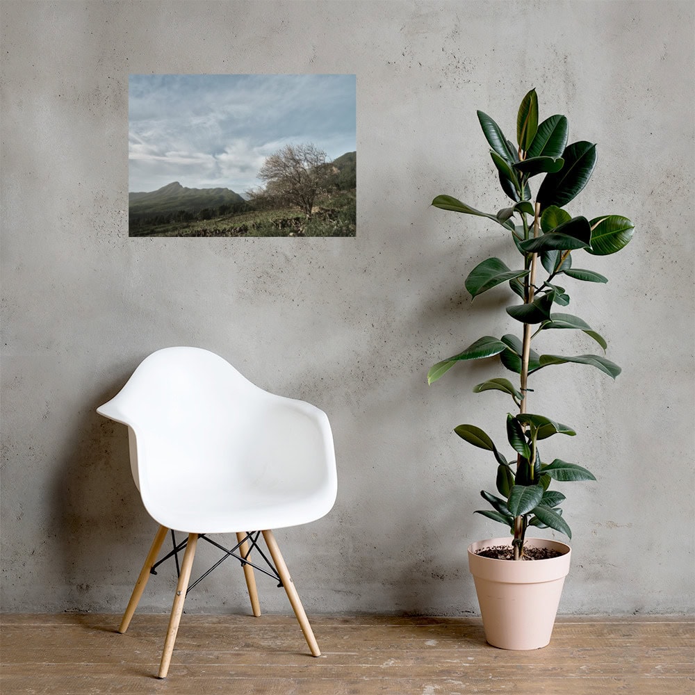 Una silla moderna de color blanco reposa sobre un suelo de madera junto a una maceta alta con grandes hojas verdes. Arriba, una fotografía de paisaje titulada "Póster Camino Virgen del Pino" de Volcanica Productions está colgada en la pared de hormigón, capturando las colinas y el cielo nublado que recuerdan a La Palma.
