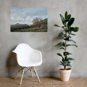 Una habitación minimalista cuenta con una silla moderna blanca y una maceta alta sobre un piso de madera. El póster Camino Virgen del Pino, que representa un cielo nublado sobre las montañas de La Palma, está colgado en la pared texturizada y rezuma arte decorativo en cada detalle.
