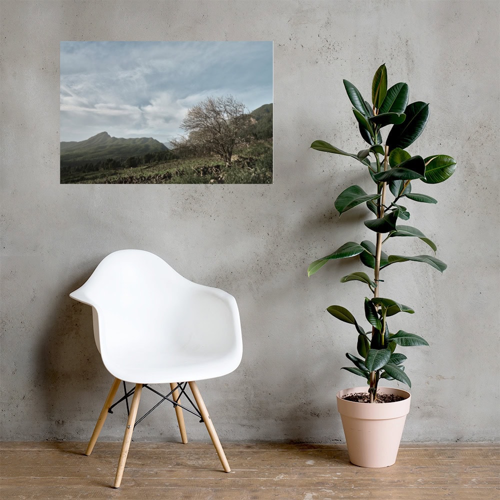 Una habitación minimalista cuenta con una silla moderna blanca y una maceta alta sobre un piso de madera. El póster Camino Virgen del Pino, que representa un cielo nublado sobre las montañas de La Palma, está colgado en la pared texturizada y rezuma arte decorativo en cada detalle.