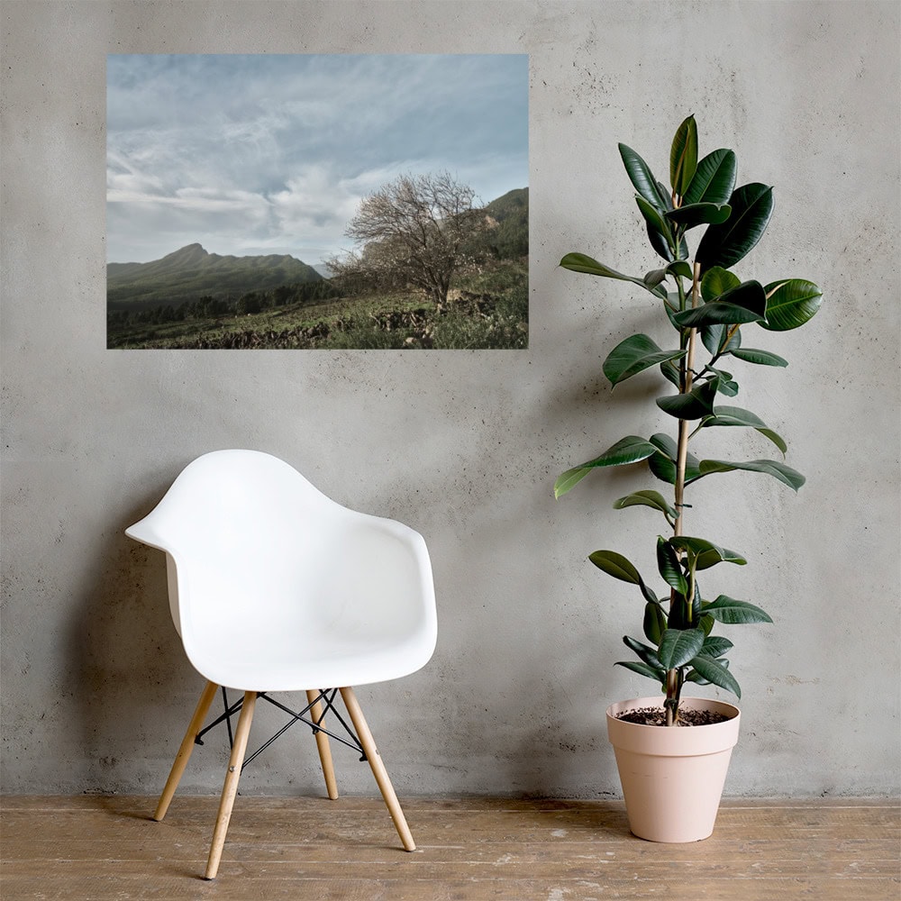 En una habitación minimalista, hay una silla moderna blanca combinada con una planta en maceta sobre el piso de madera. Una fotografía de paisaje titulada "Póster Camino Virgen del Pino" se exhibe en la pared texturizada, infundiendo Arte Decorativo en la atmósfera serena.