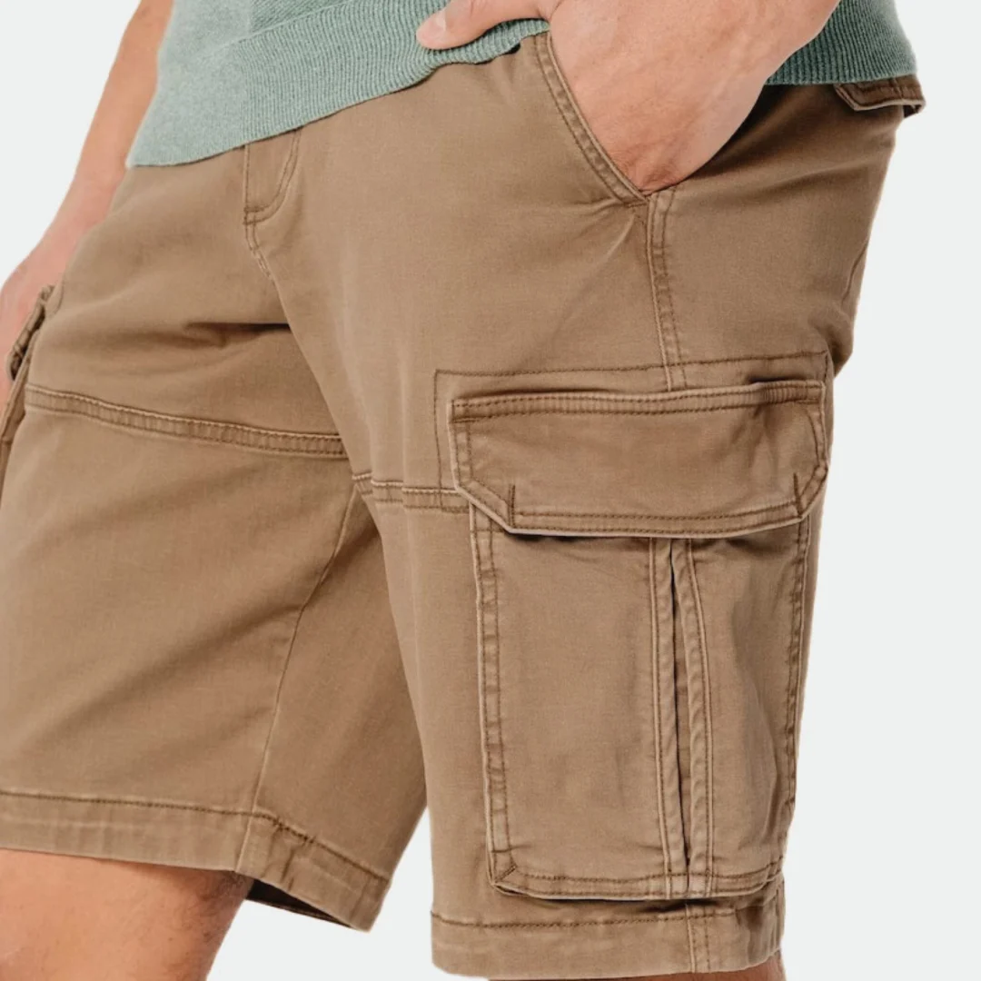 Hollister mens cargo shorts online