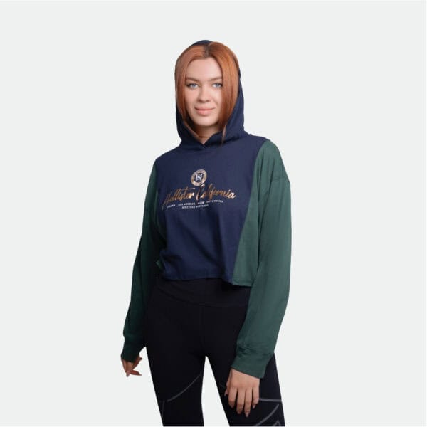 Hollister Hoodie Crop Top Graphic Print