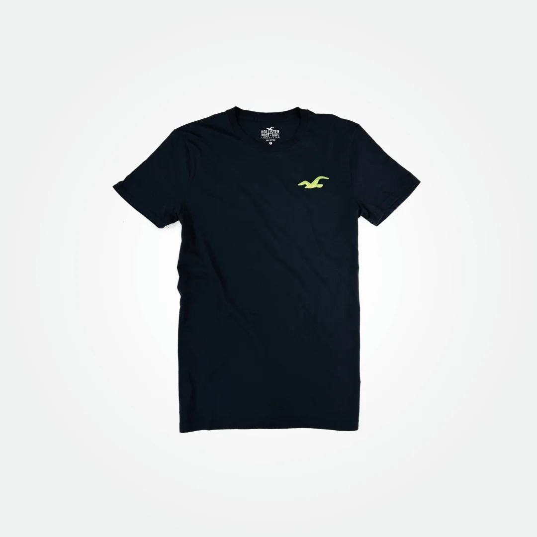 HOLLISTER MEN T SHIRT EMBROIDERED LOGO WOWSOUQ