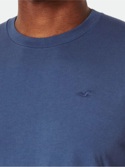 Hollister Men's Small Logo T-shirt