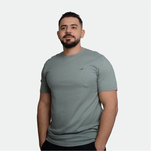 Hollister Men Icon Crew T-Shirt