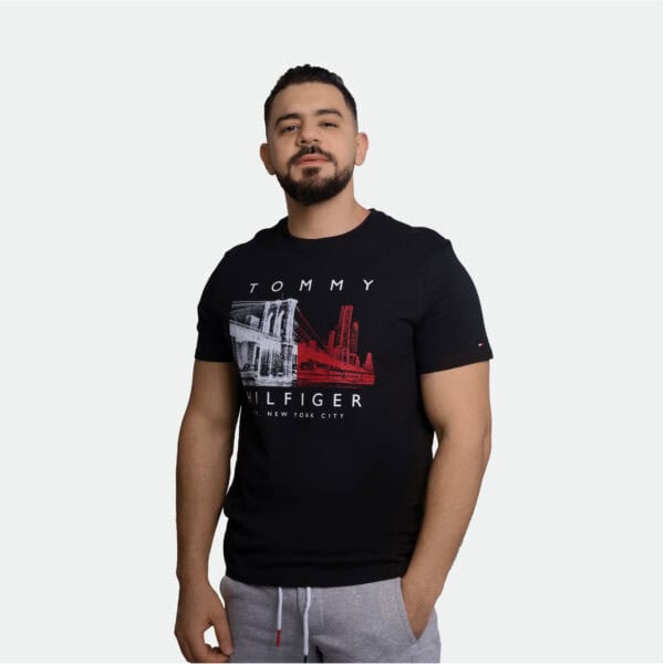 Tommy Hilfiger Men Solid T-Shirt Regular Fit Graphic Print