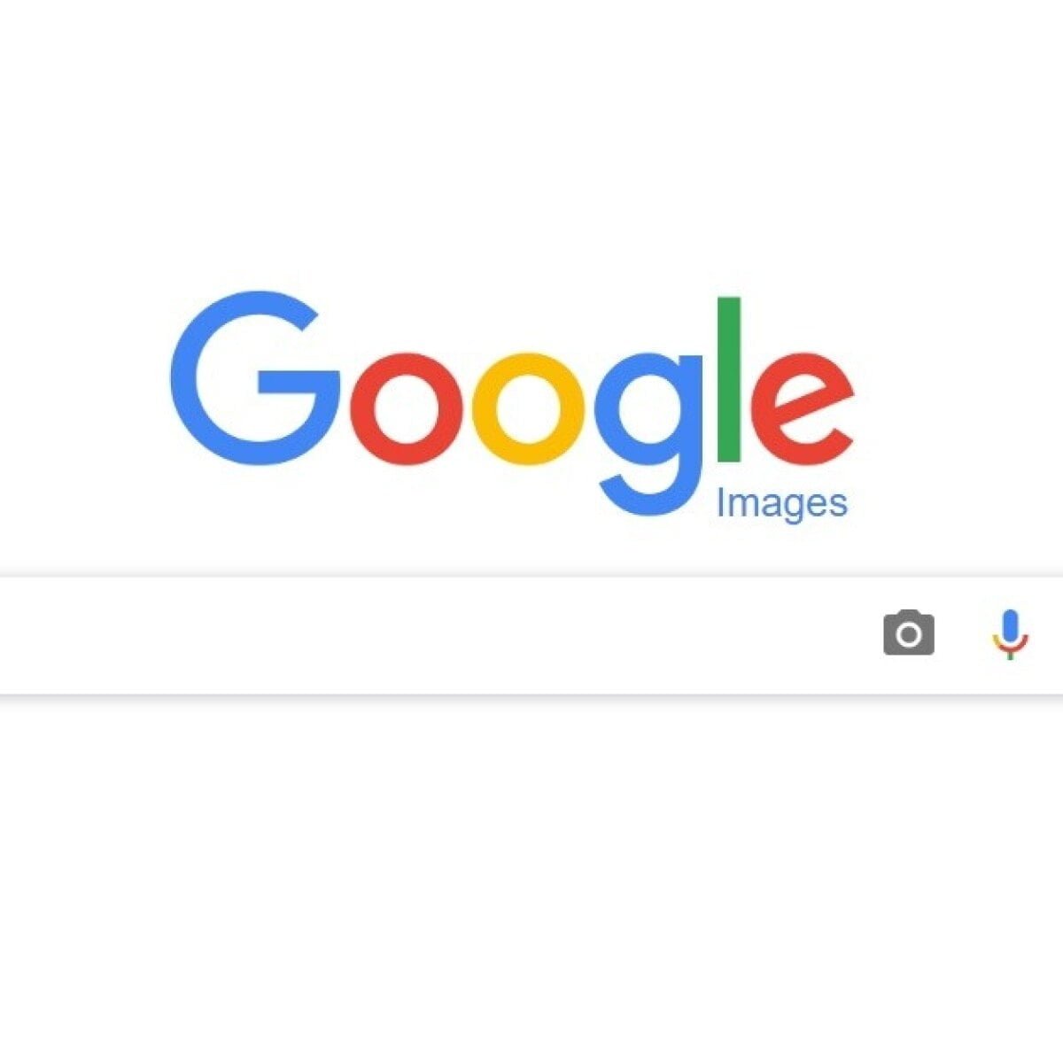 Google Reverse Image Search