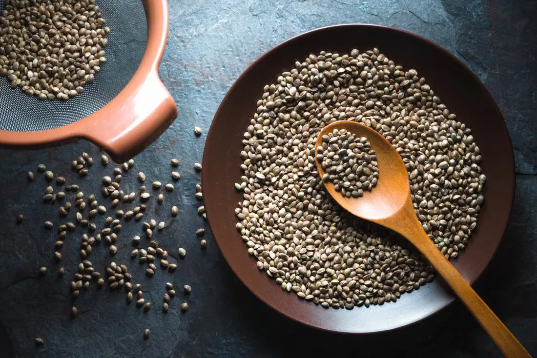 How To Keep Cannabis Seeds In Good Condition