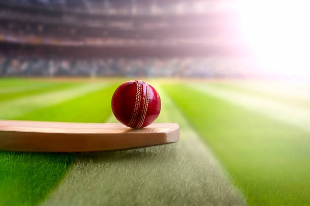 Crickex Bookmaker Is The Most Reliable And Progressive Bookmaker In India