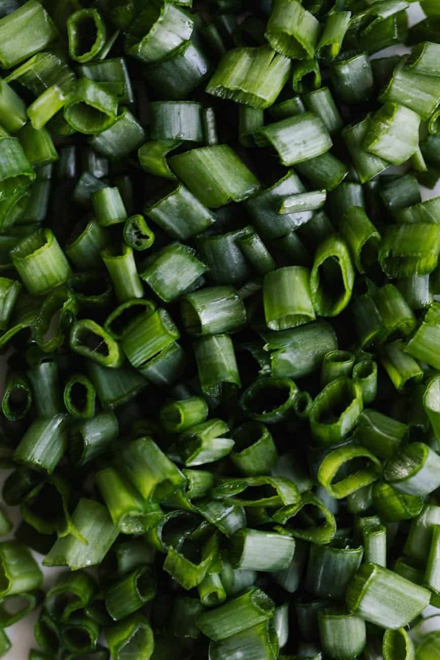 Carnivore Diet Recipes