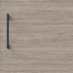 Oyster urban oak
