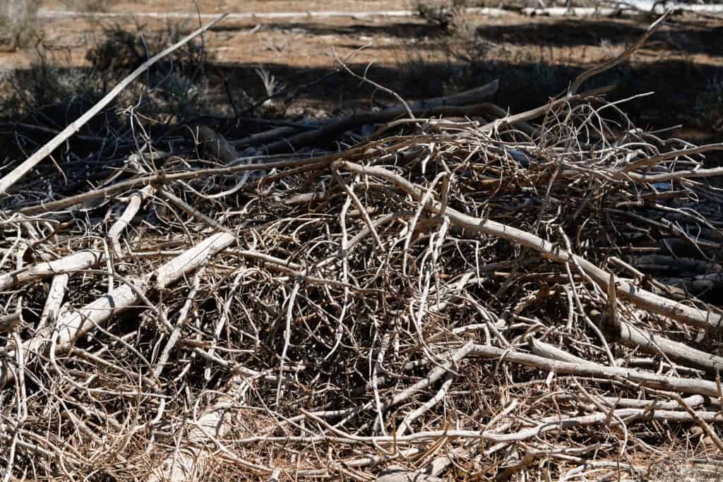 a pile of sticks in the dirt