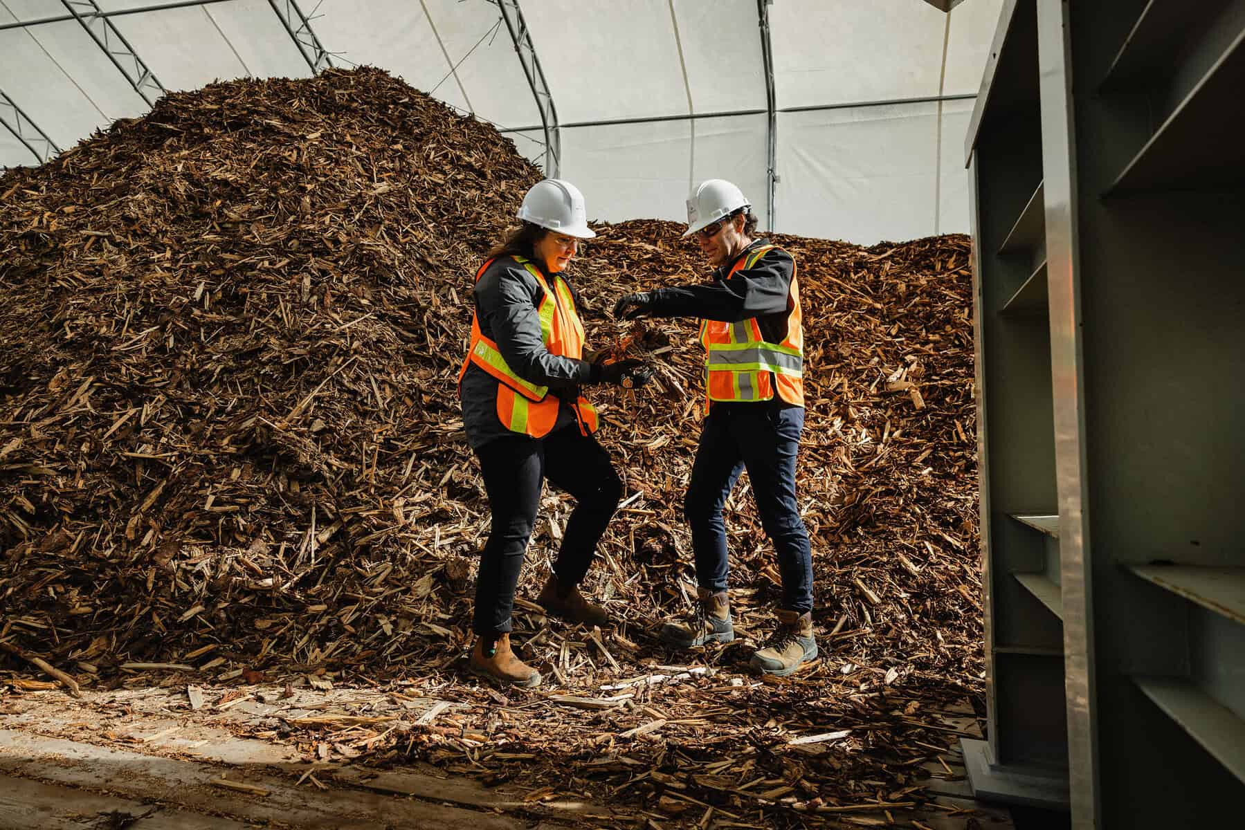 Two people hold feedstock wood chips