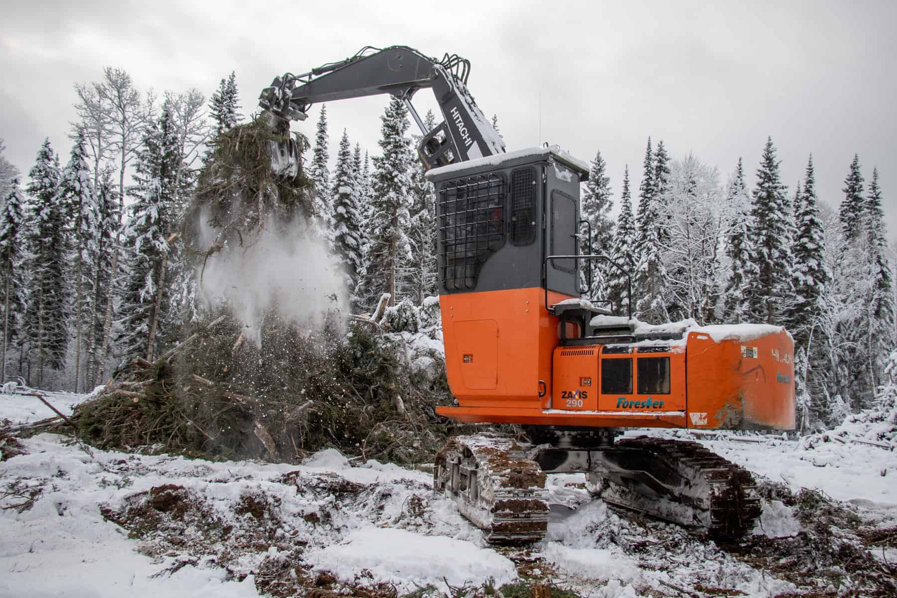 a machine with a large arm lifting branches