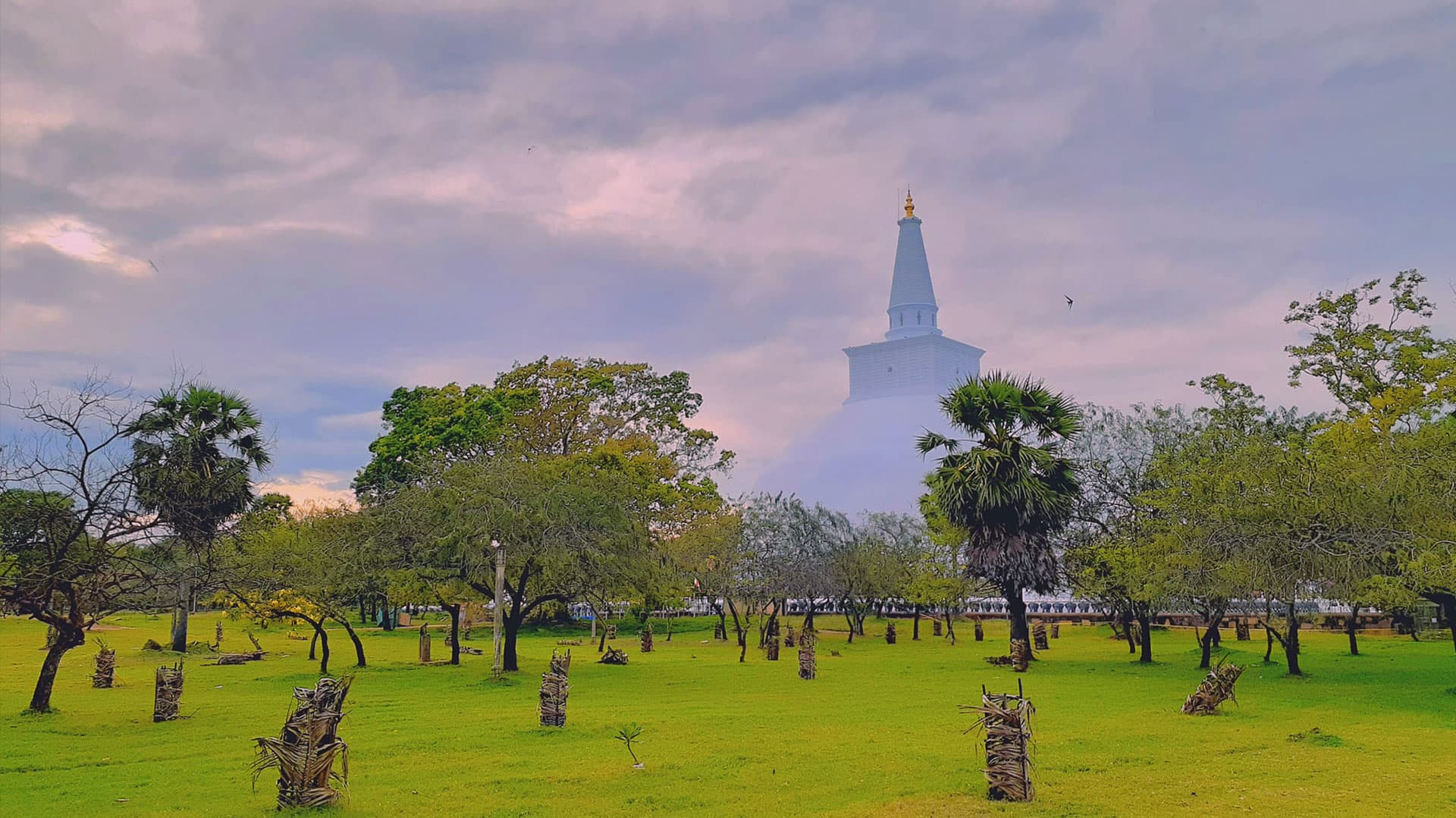 Anuradhapura