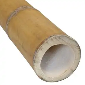 Bamboepaal