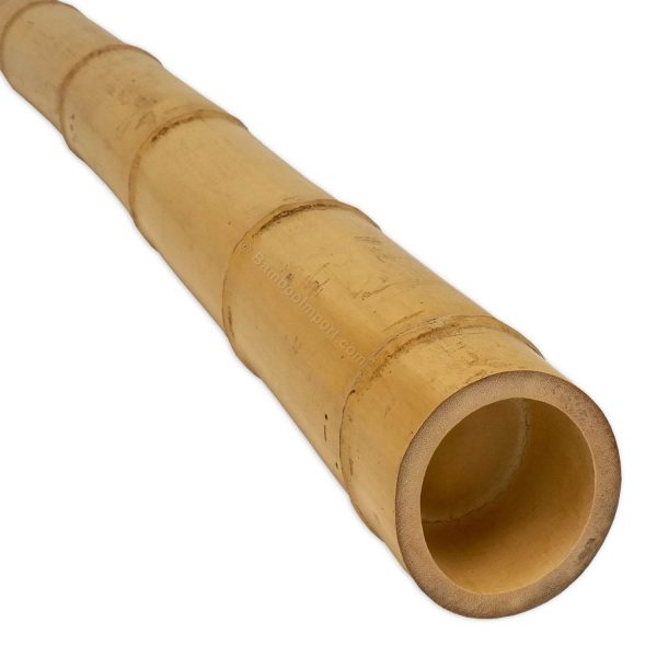Moso bamboepaal 5-7 cm