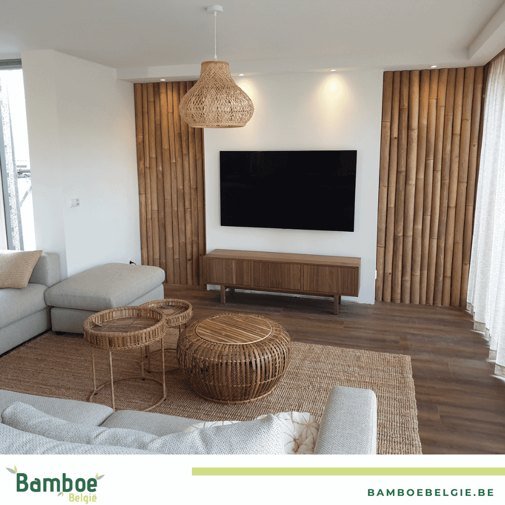 Bamboe binnen huiskamer