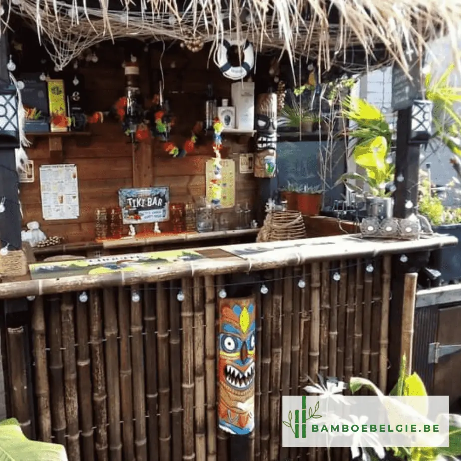 Bamboe bar met strodak - Bamboe België