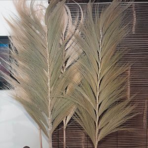 Bamboe Pluimen