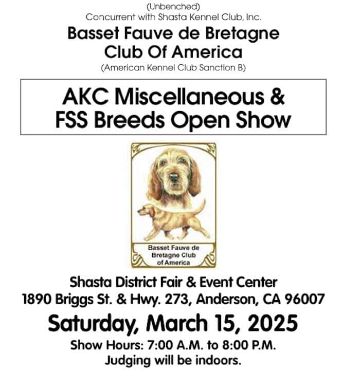 Basset Fauve de Bretagne dog show poster.