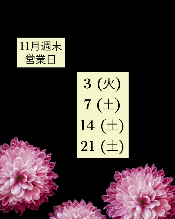 0f0431ea 5787 4ddf bcac 0814f6082532 0f0431ea 5787 4ddf bcac 0814f6082532