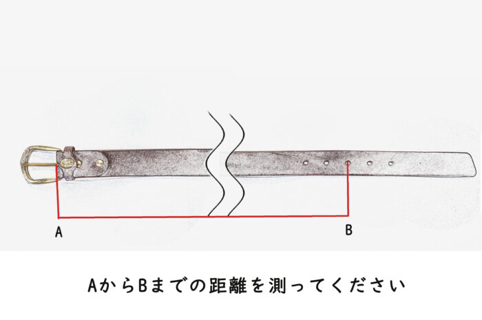 ベルトサイズの測り方の説明