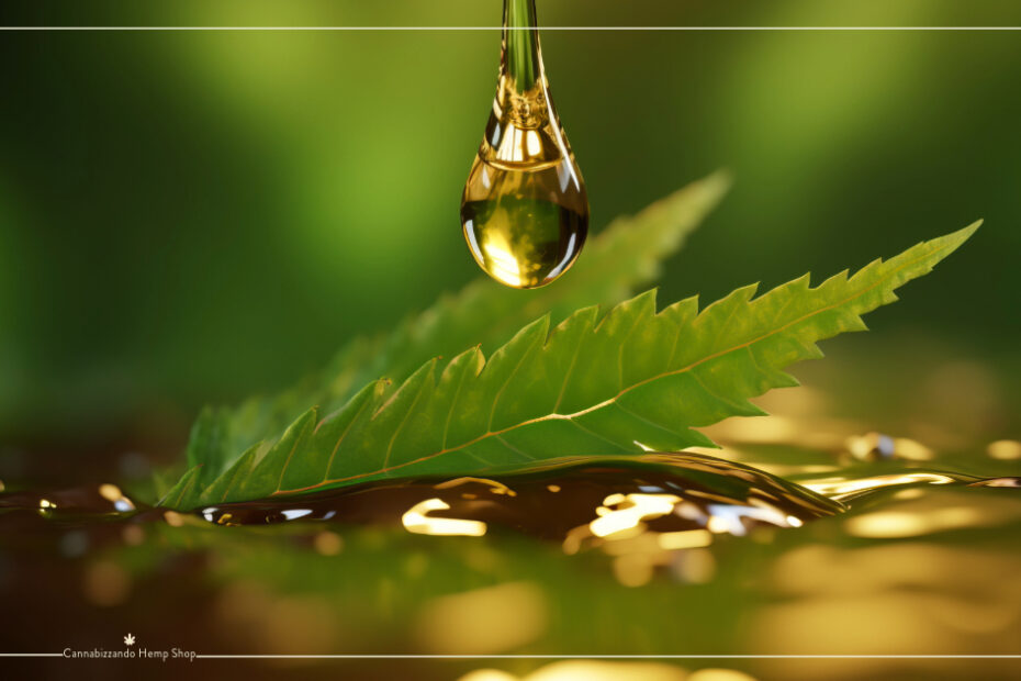 CBD Full Spectrum o Isolato? Scopriamo le differenze