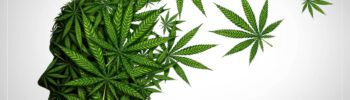 CBD e THC - cosa sono e come agiscono