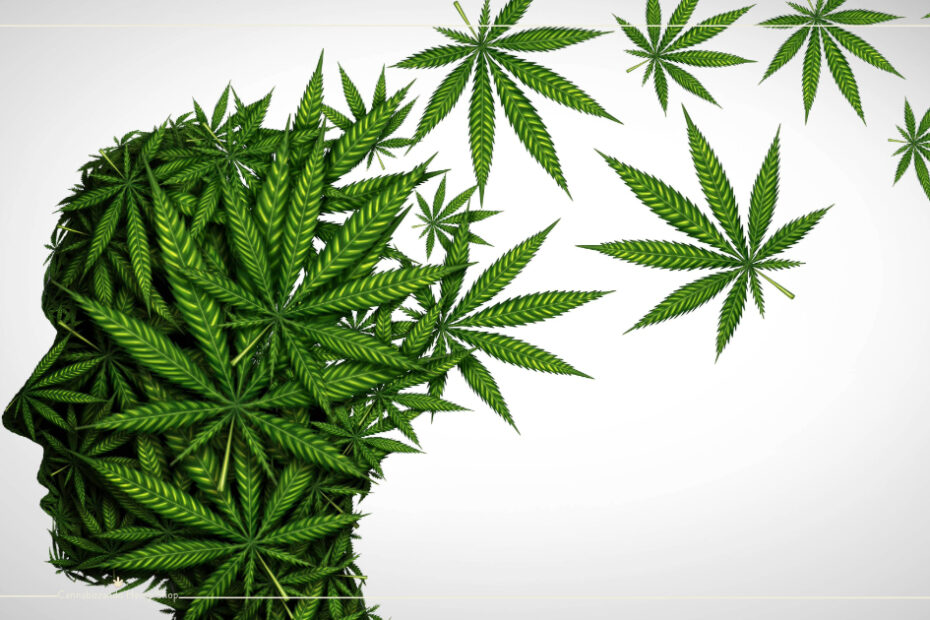 CBD e THC - cosa sono e come agiscono