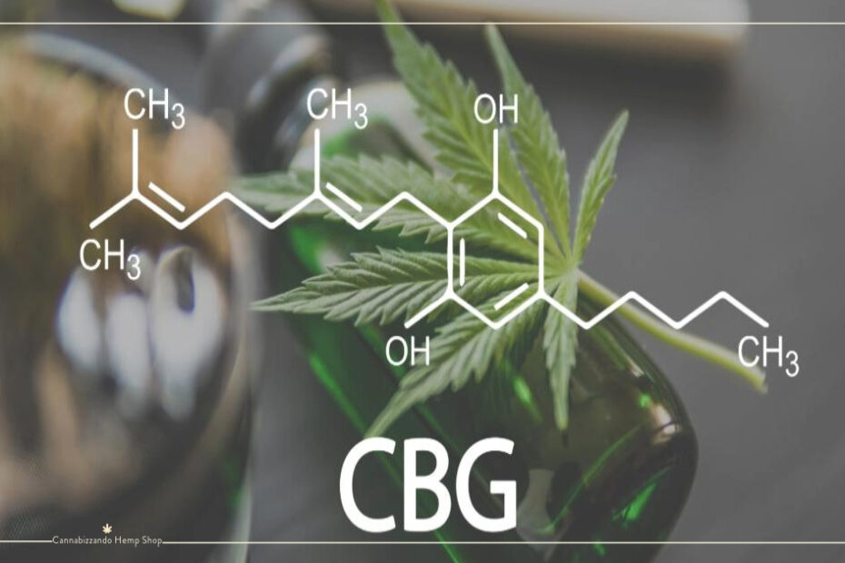 Il CBG (cannabigerolo): focus sulla cellula staminale di tutti i cannabinoidi