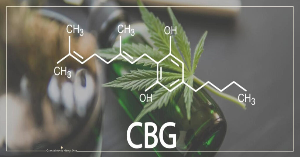 Il CBG – Focus sulla cellula staminale di tutti i cannabinoidi