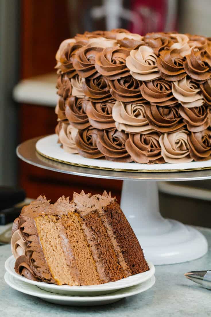 image of ombre chocolate cake with slice on a plate showing ombre chocolate cake layers