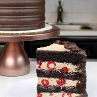 Image of a slice of chocoalte raspberry cake