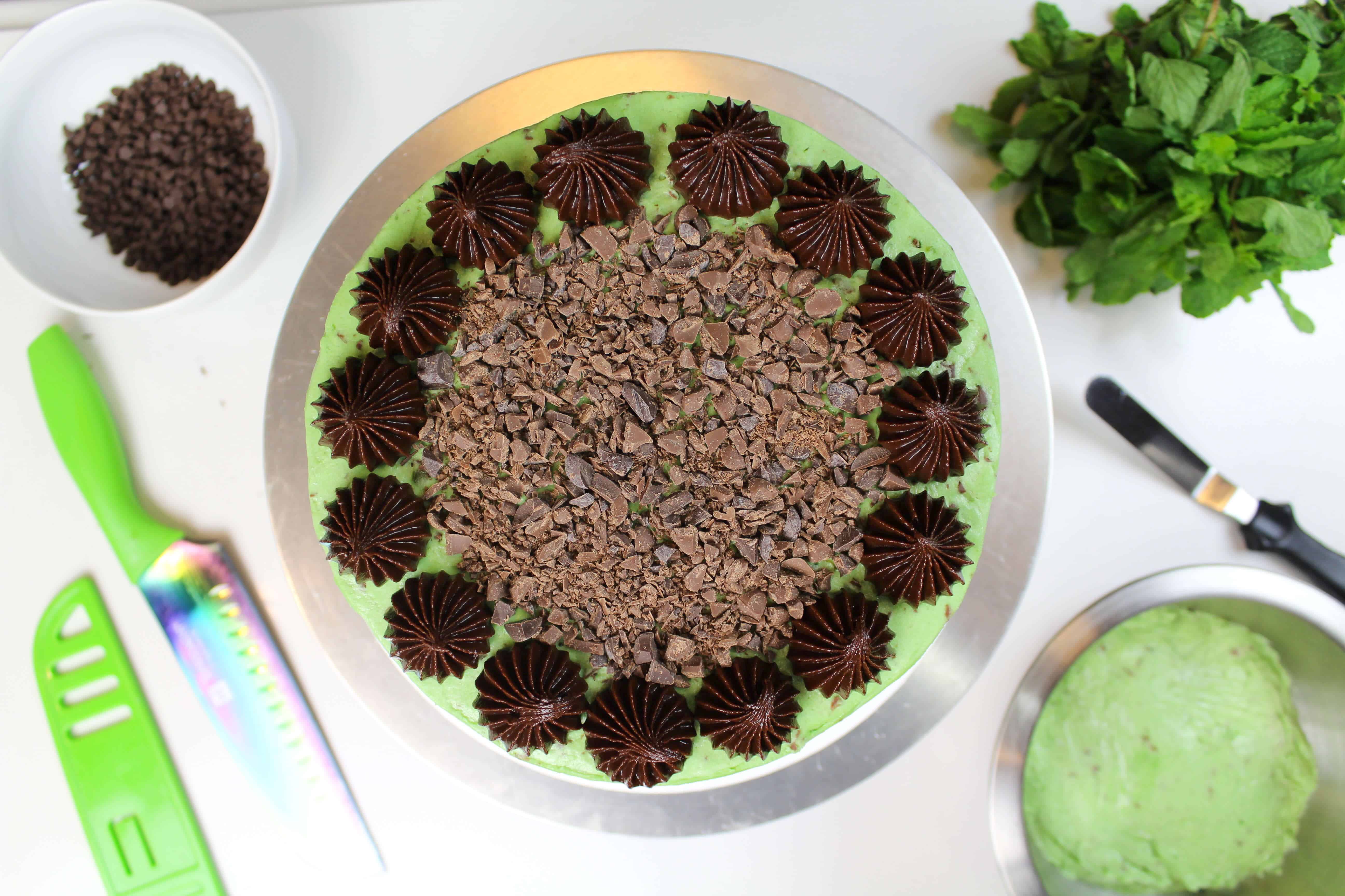 overhead of mint chocolate chip cake